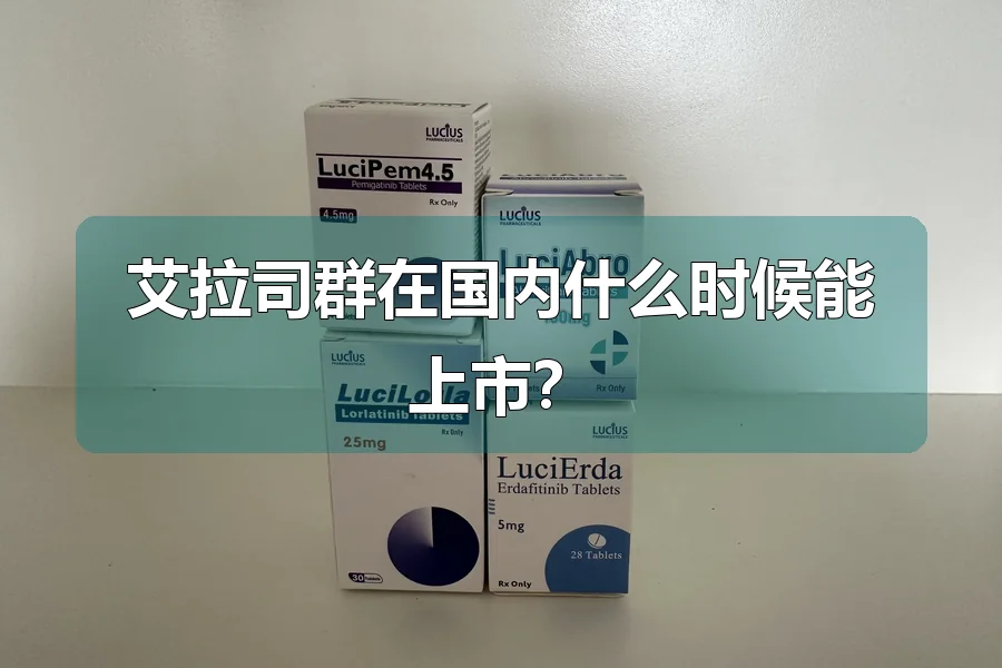 艾拉司群在国内什么时候能上市?